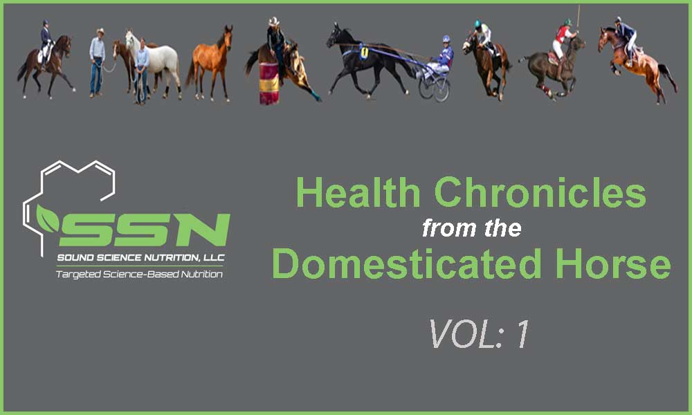 Health Chronicles from the Domesticated Horse